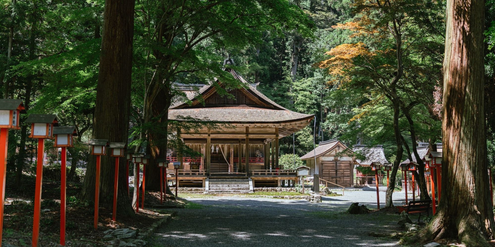 Daytime photo of a Japanese shrine surrounded by tall trees.